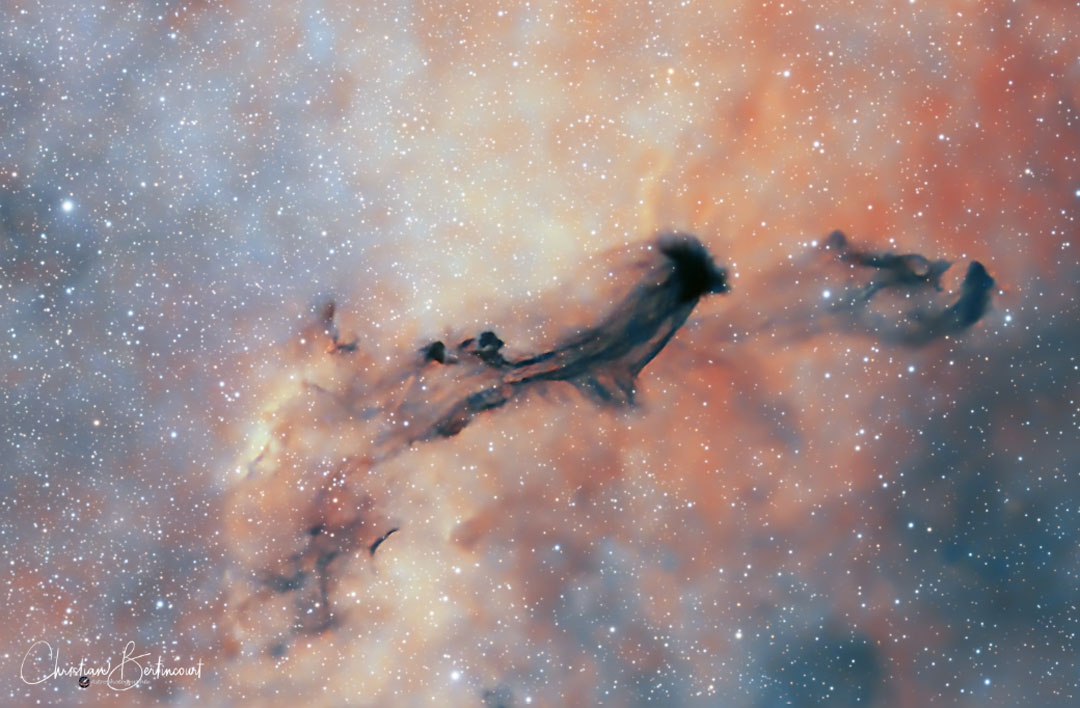 费米悖论：他们在哪里？